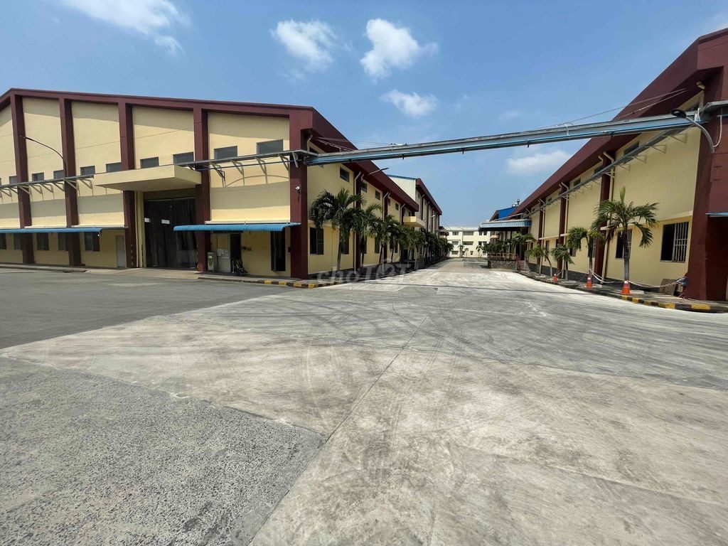 Hình 5
