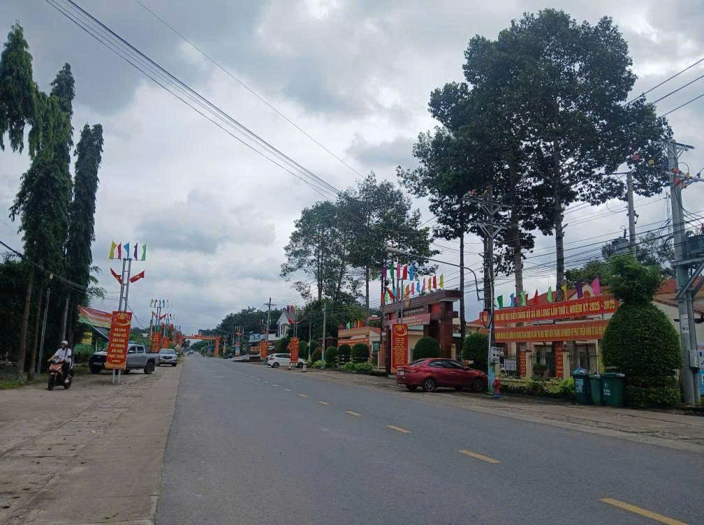 Hình 2