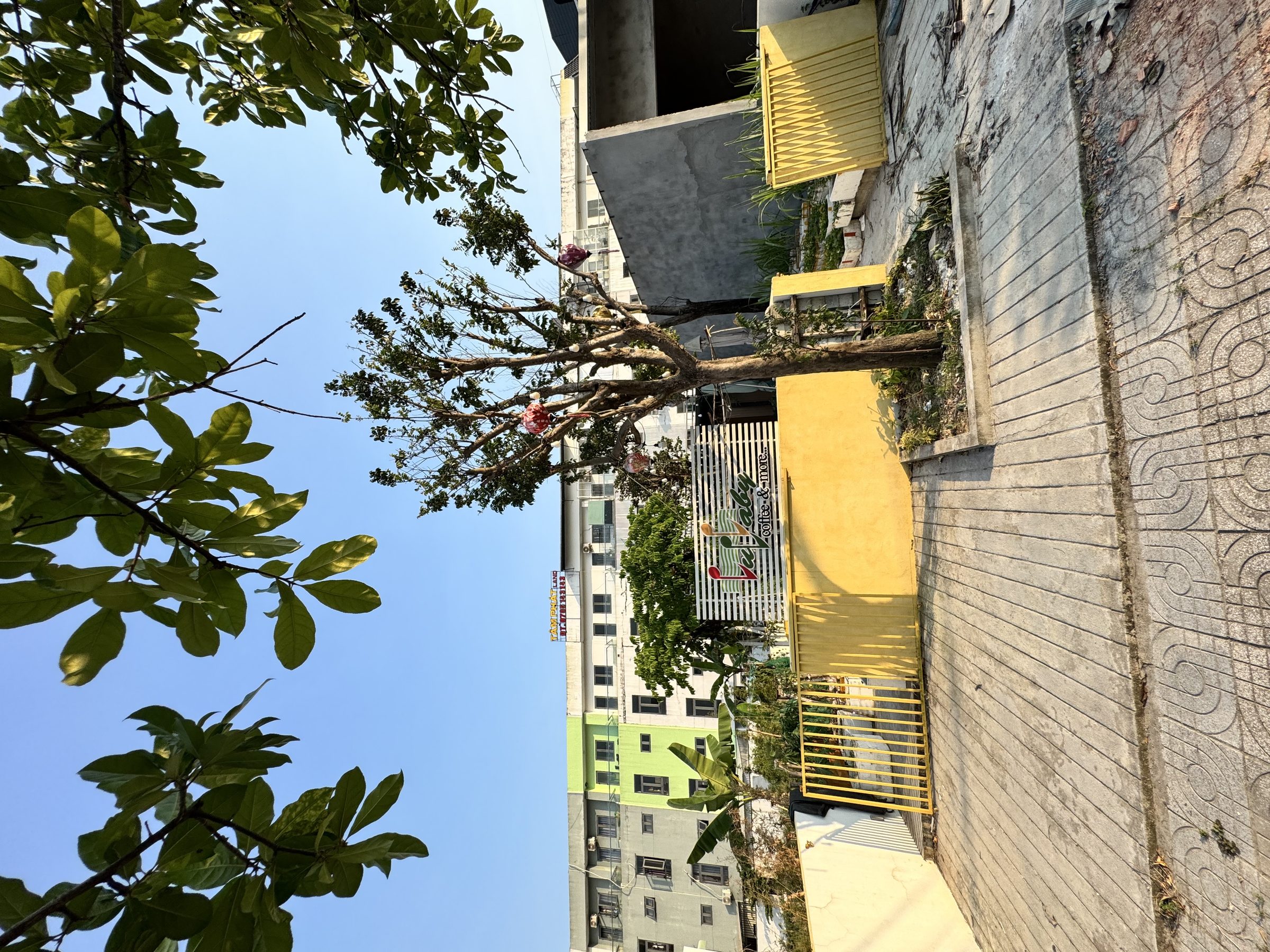 Hình 2