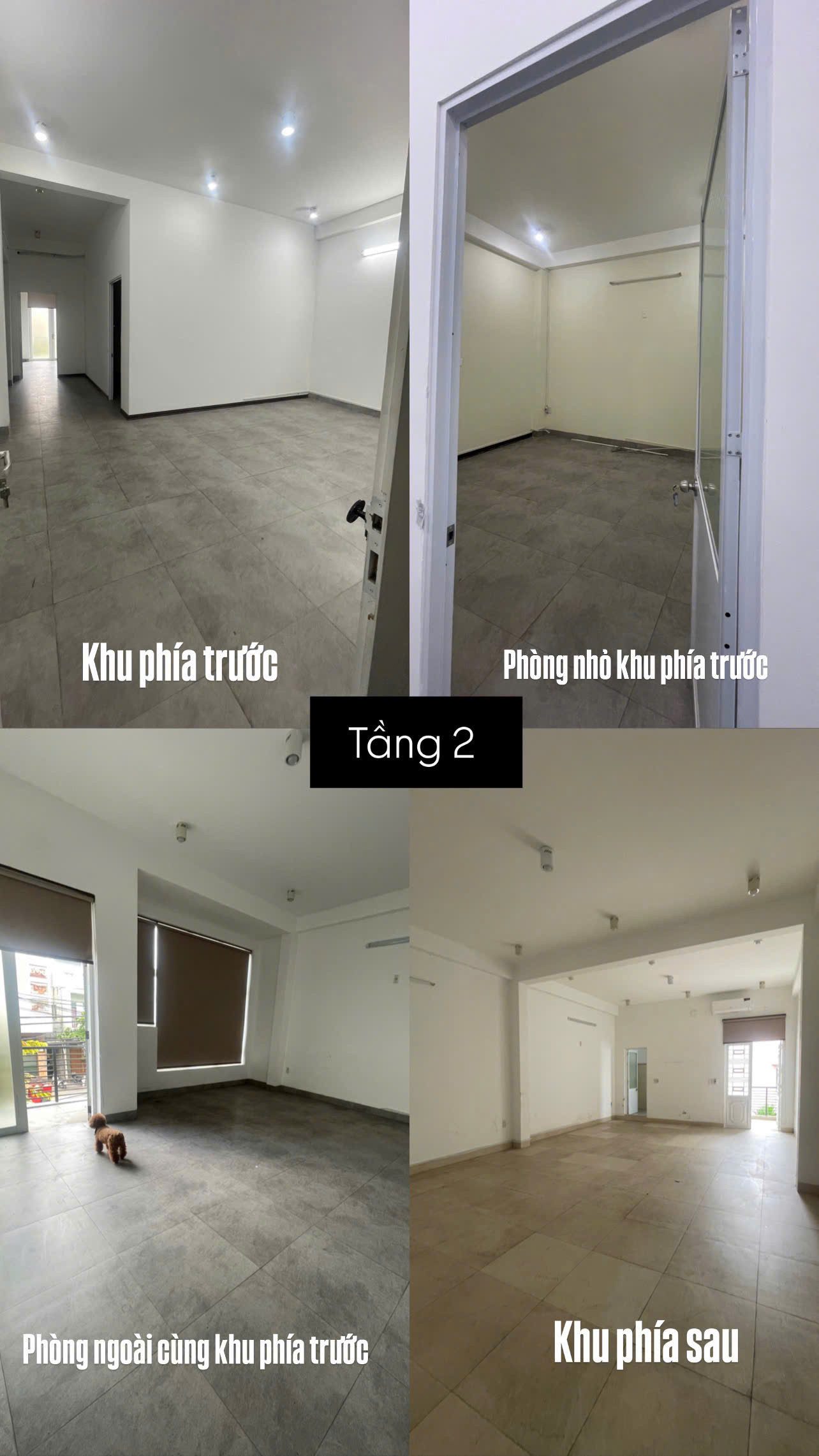 Hình 3
