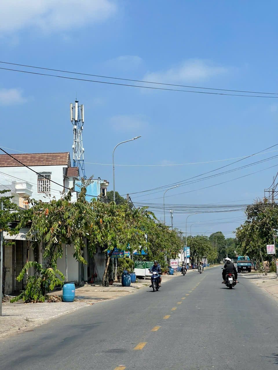 Hình 5