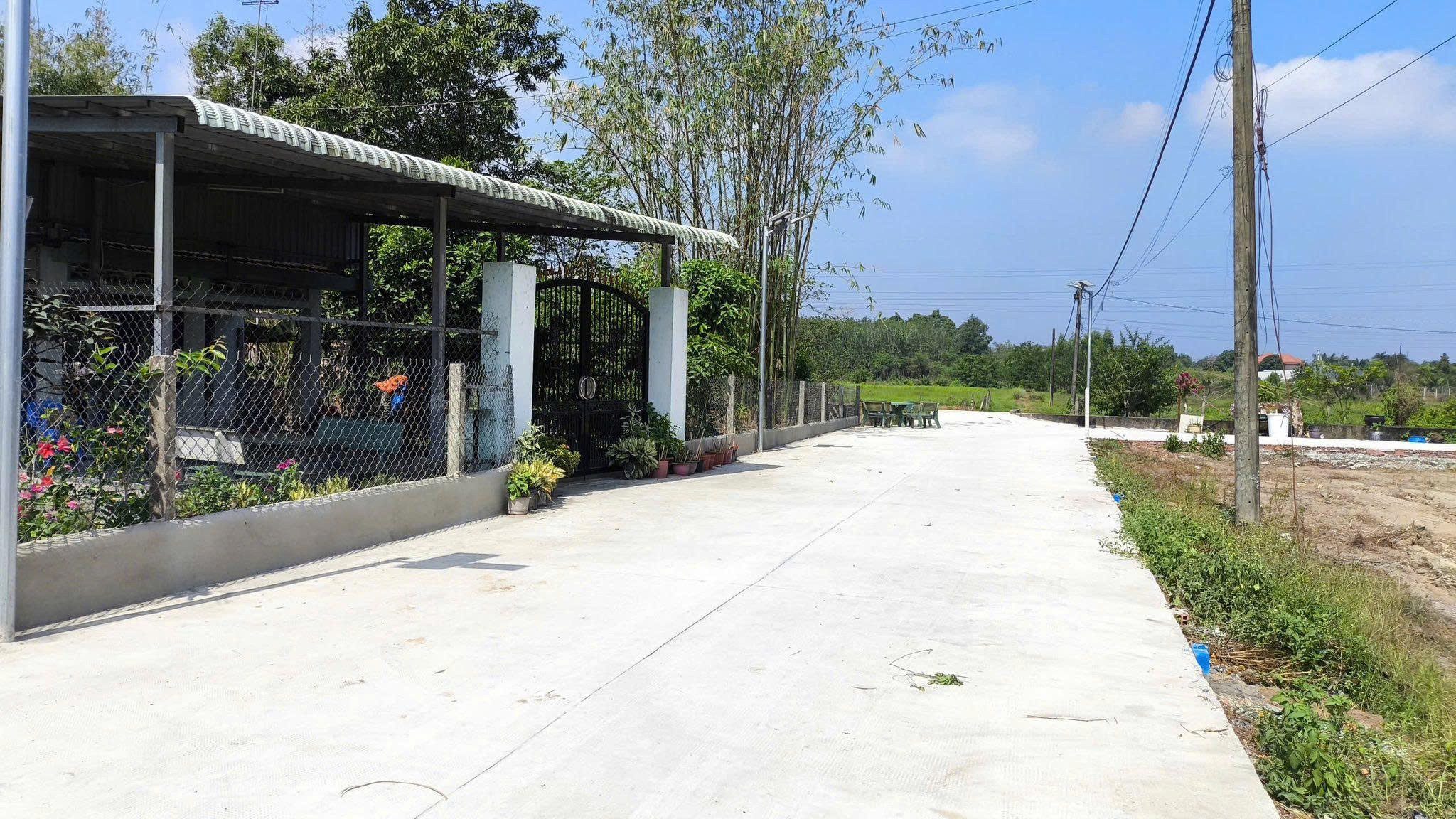 Hình 5