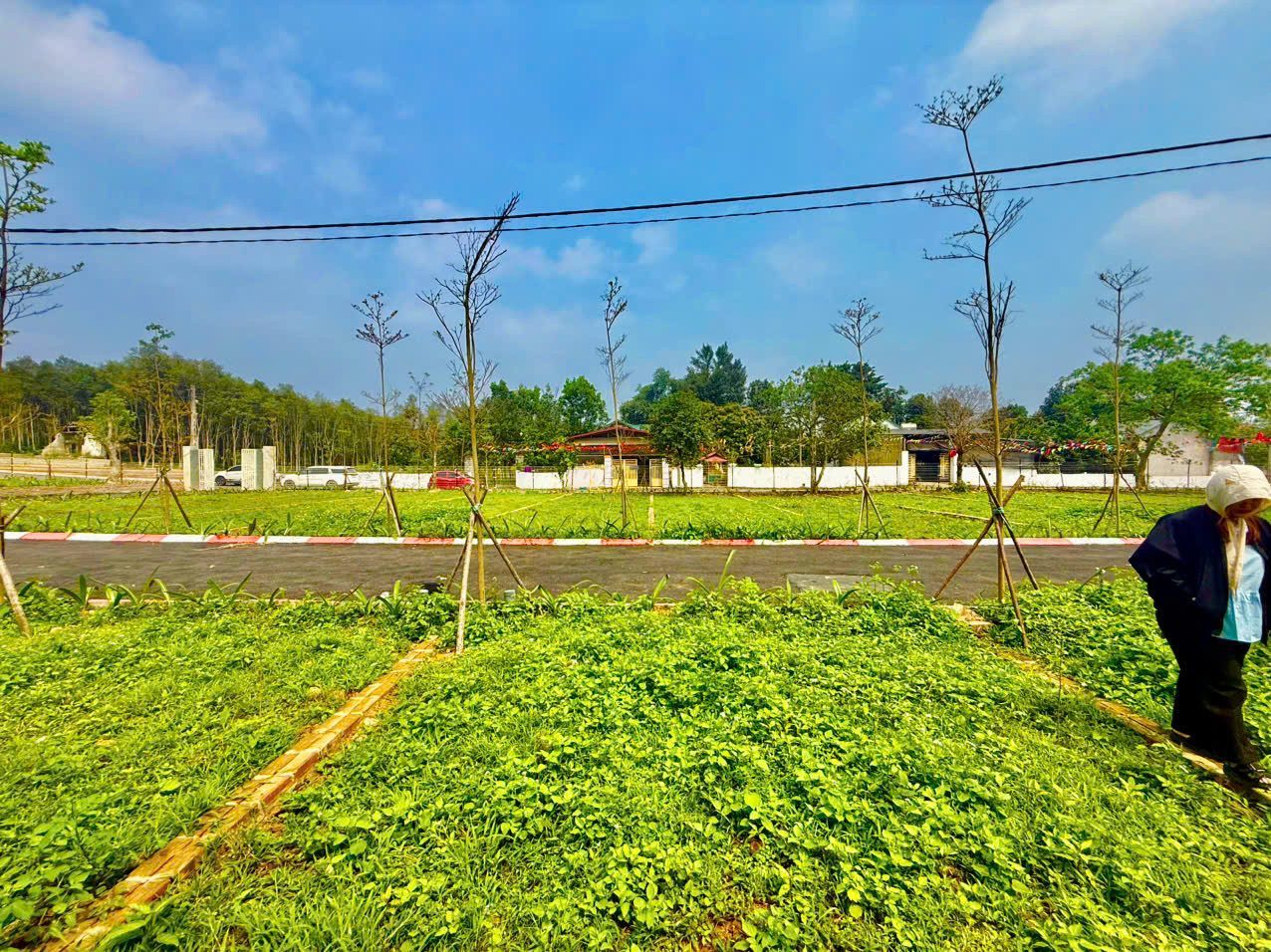 Hình 2