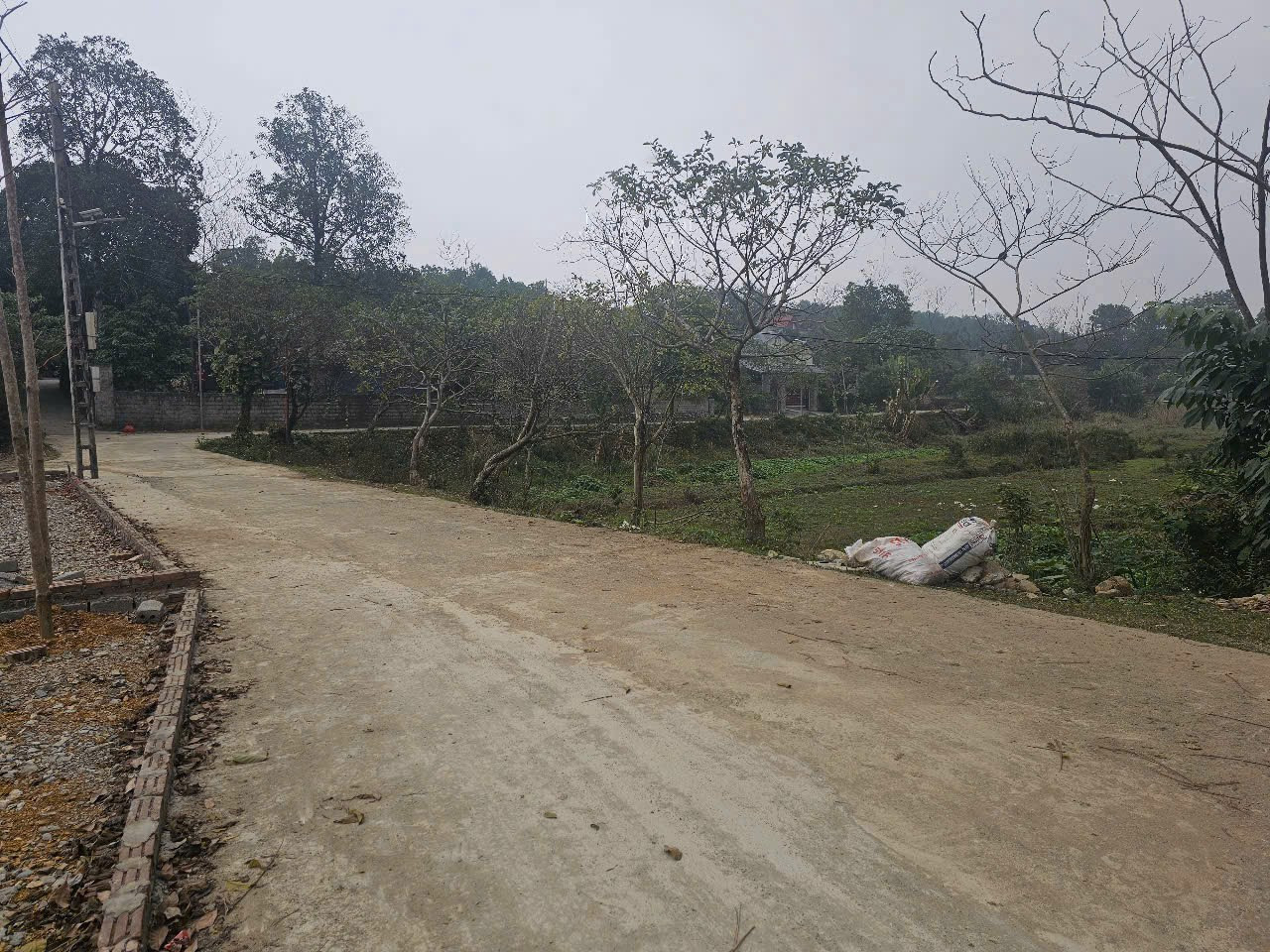 Hình 2
