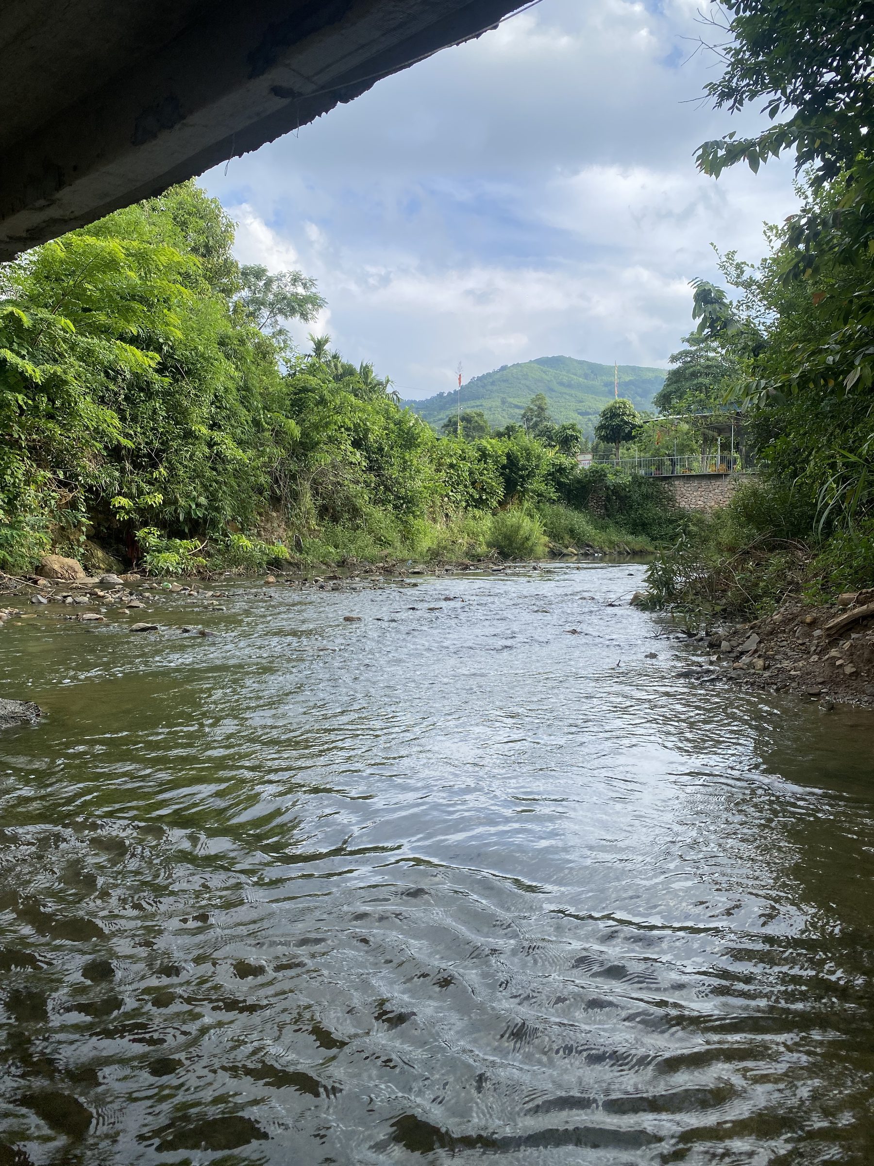 Hình 2