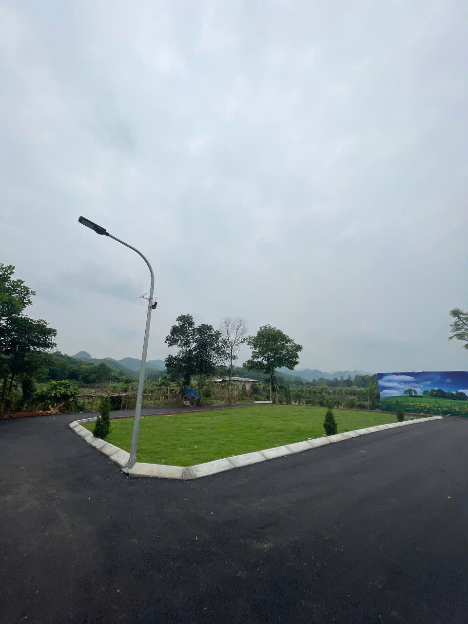 Hình 5