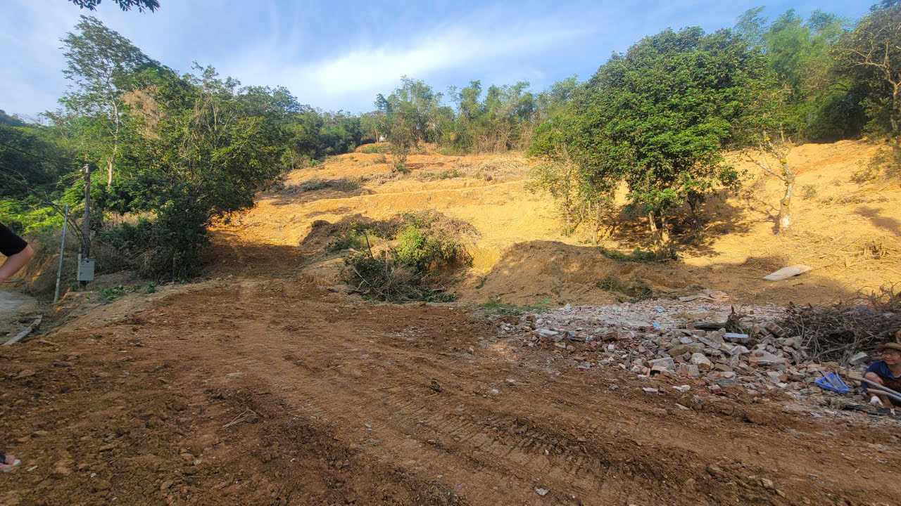 Hình 5