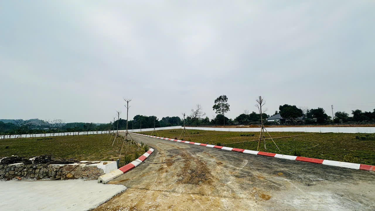 Hình 2