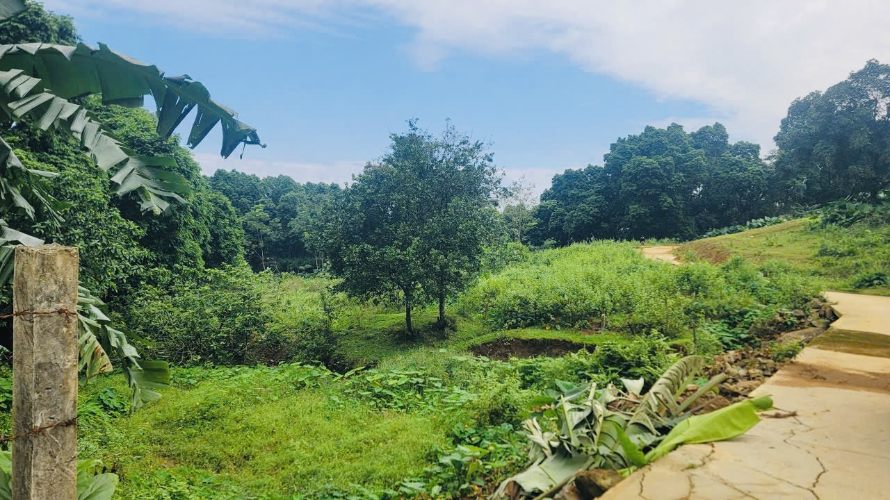 Đất Lương Sơn: Quỹ Đất 4,4 Héc-ta – Pháp Lý Minh Bạch, Giá Tận Gốc