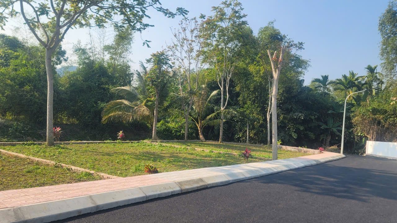 Hình 5