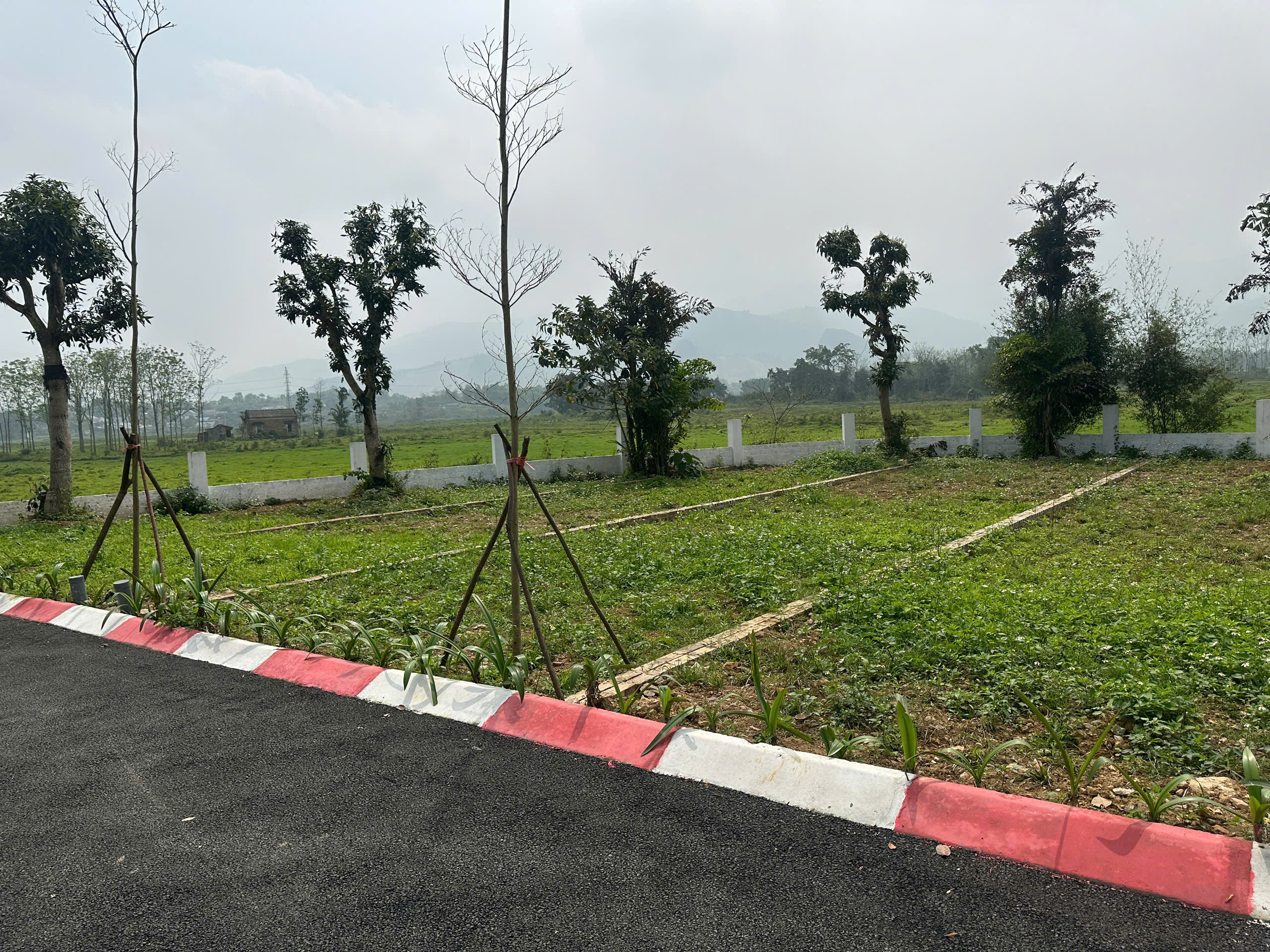 Hình 5