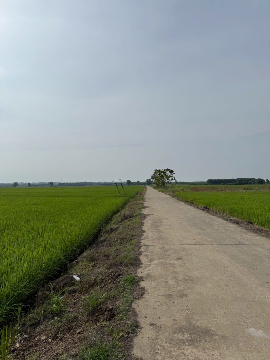 4 sào đất thuận tiện gần đường bê tông và nhựa phụ tại Đồng Nai