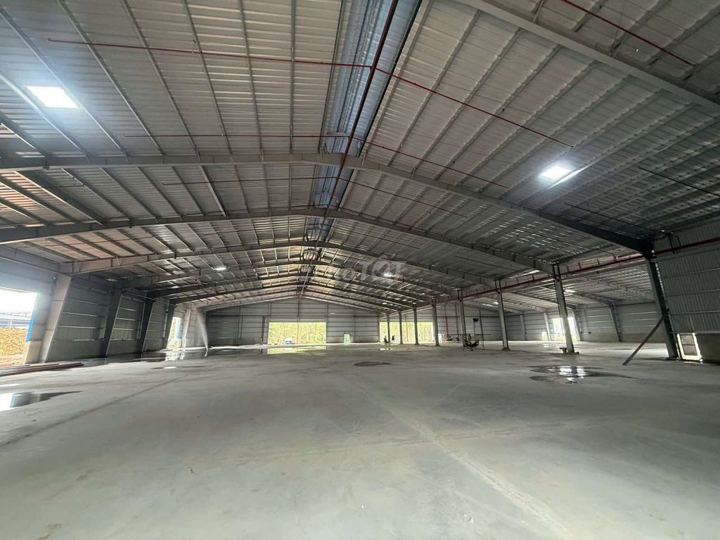 Cho thuê xưởng mới xây 5.000m2, giấy tờ đầy đủ, cổng xanh