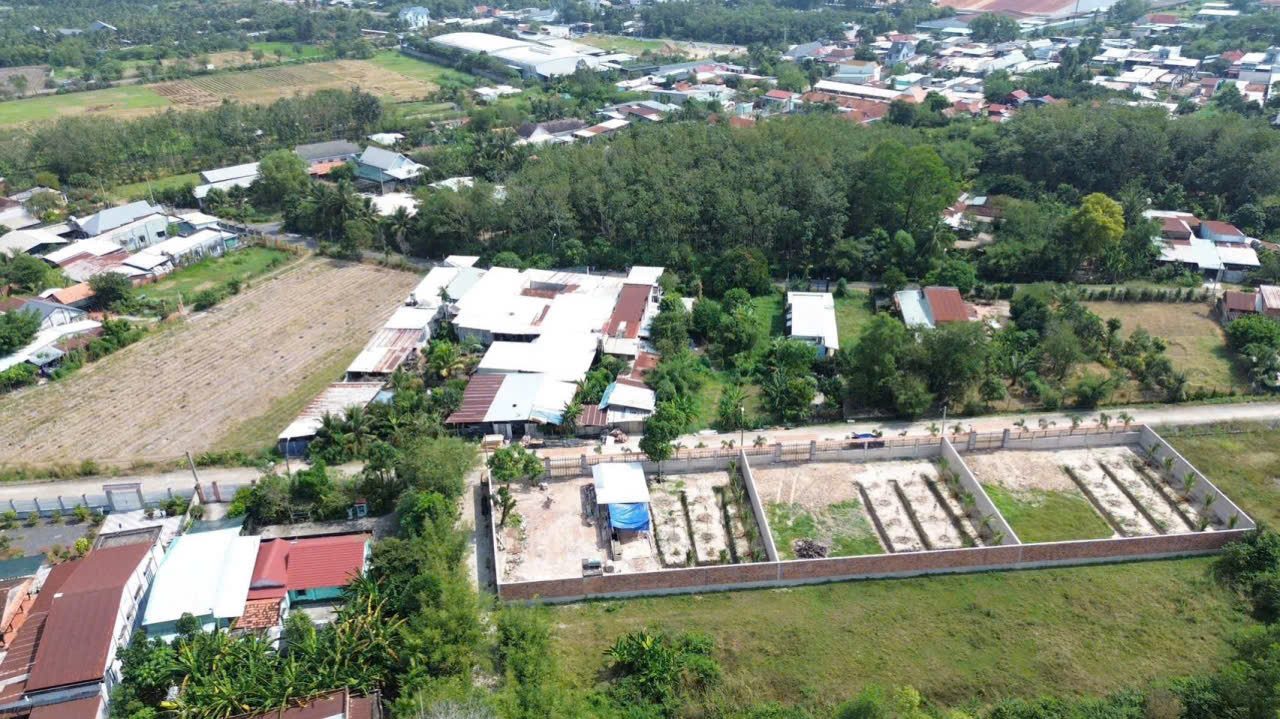 Hình 2