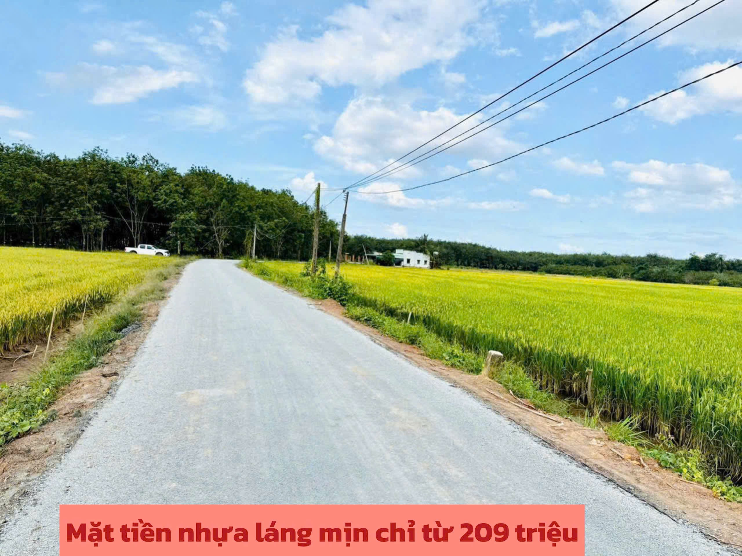 Đất mặt tiền Nhựa - Full thổ cư - Tân Biên Tây Ninh chỉ 198 triệu