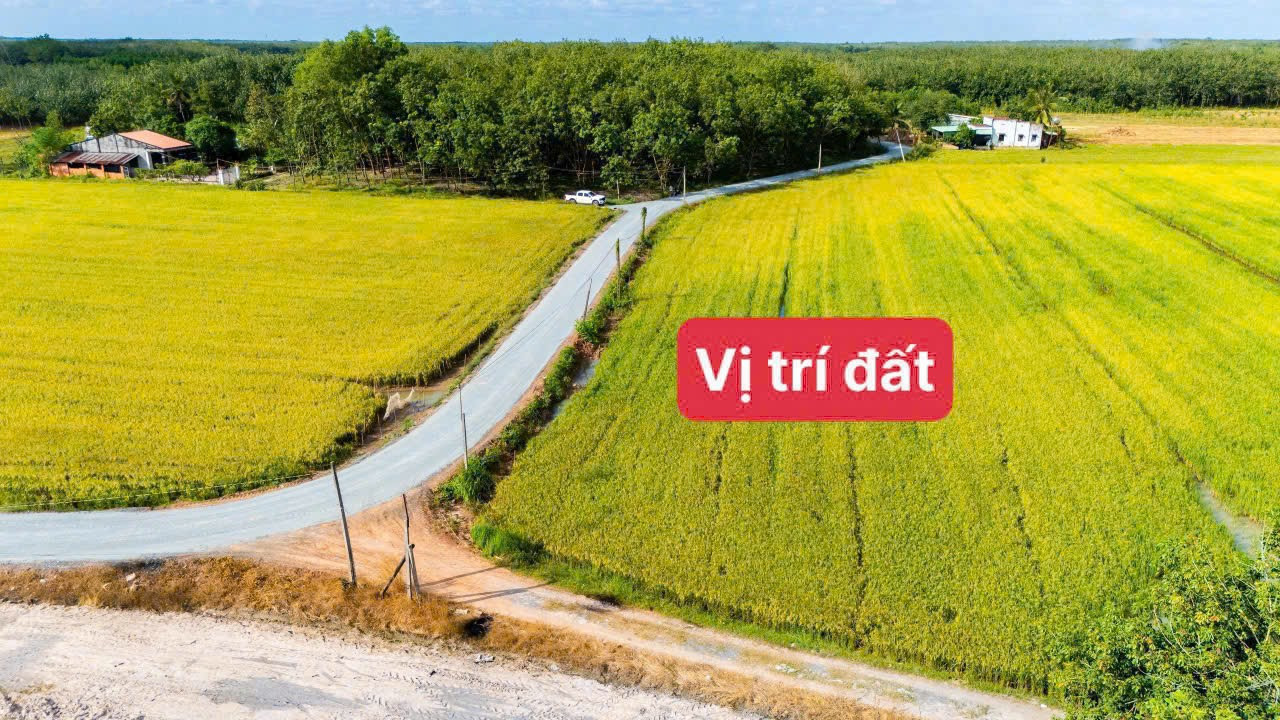 Hình 4