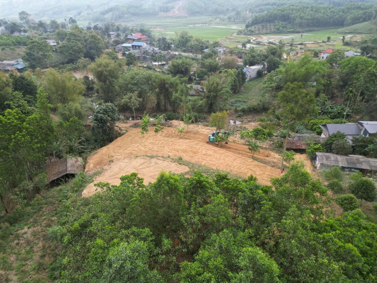 Hình 5