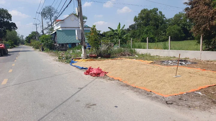 (S470) Đất đường Phú Thuận , xã Trung Lập Thượng, DT 298m2, thổ 92m2, chỉ 1 tỷ 700