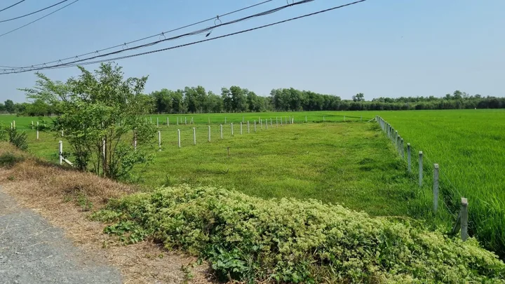 Đã thâm định tài sản 1/ tỉnh lộ 7 xã Trung Lập Hạ Củ Chi 1000m2 giá 2ty1