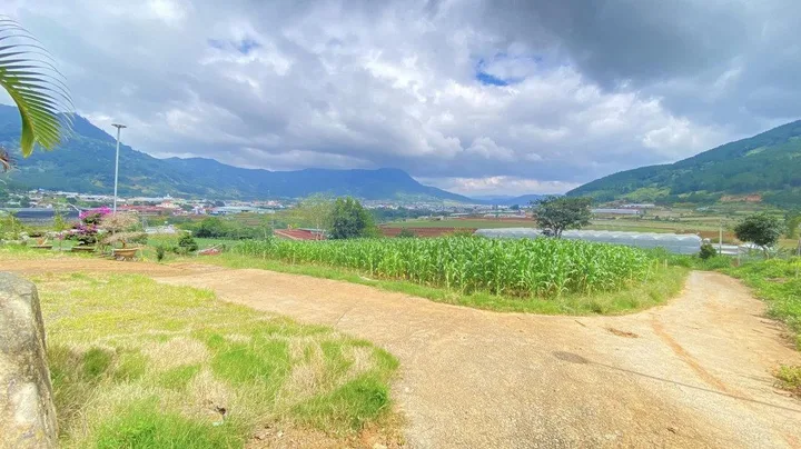 Bán Đất 1000m2 giá 2.5 tỷ tại Đường Quốc lộ 20 Xã Hiệp An Huyện Đức Trọng Lâm Đồng