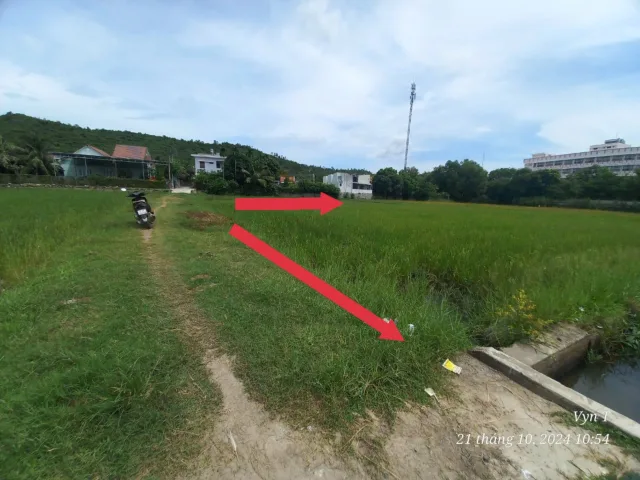 Bán đất 1135m² ngang 29m giá 10 tỷ tại Phường Ninh Hiệp Thị xã Ninh Hòa