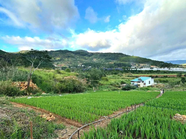 Bán đất view đẹp gần KDL Núi Voi Hiệp An, đi trung tâm Đà Lạt hơn 10km
