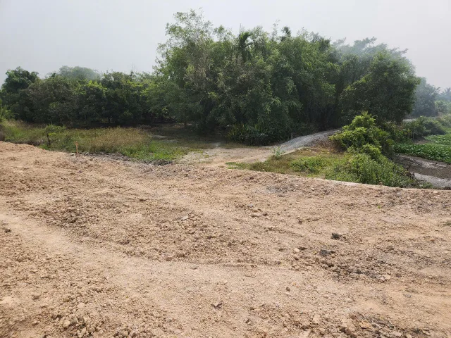 (B446) Đất mặt tiền sông Sài Gòn, xã Trung An, dt 5.130m2, có thổ 300m2, giá 6tr/m2