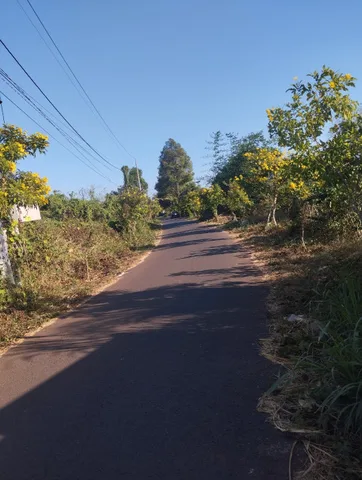 Đất thổ cư Mt đường nhựa cần bán .ngãi Giao _ Hòa Bình. Châu Đức