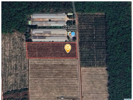 Bán đất 9548.7m² 2.38 tỷ tại Xã Long Nguyên Huyện Bàu Bàng