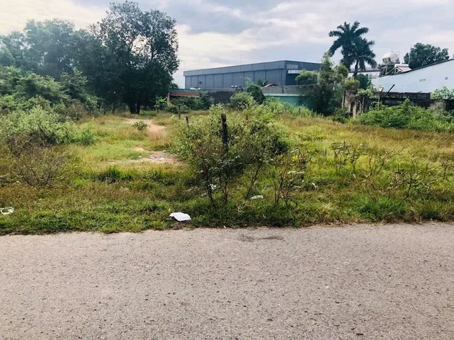 Bán đất 500m² giá 990 triệu tại Phường Lộc Phát Thành phố Bảo Lộc