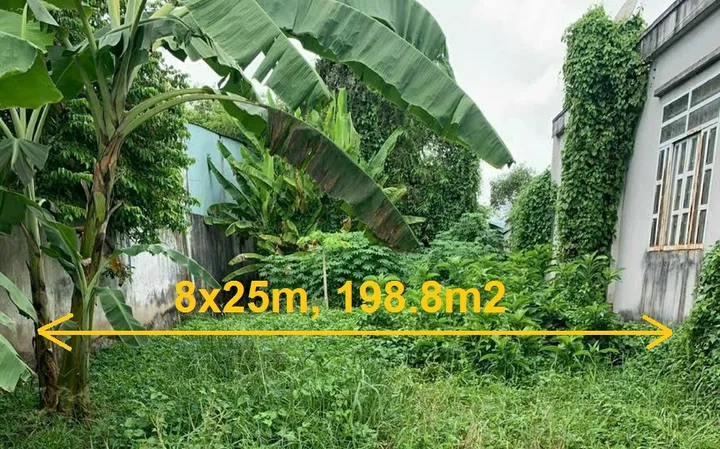 Bán đất xã Bình Mỹ Củ Chi, 1 sẹc ngắn 50m đường Võ Văn Bích, 198m2 (8x25m), sổ riêng xây dựng tự do