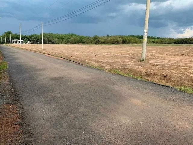 LH: 0909 044 186.  Lô đất 5x52m=260m2 sổ hồng riêng, chính chủ, sát chợ kcn tiện xây trọ giá 295tr. mua bán tại phòng công chứng