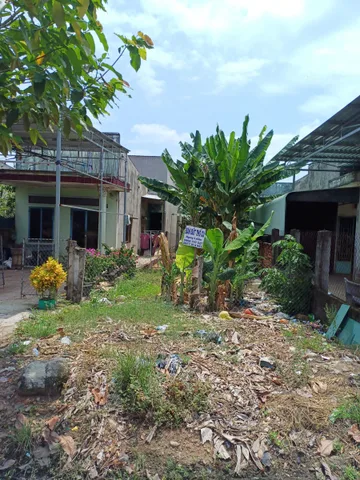 Bán đất 300m² 1.65 tỷ tại Xã Trà Tân Huyện Đức Linh, Tỉnh Bình Thuận