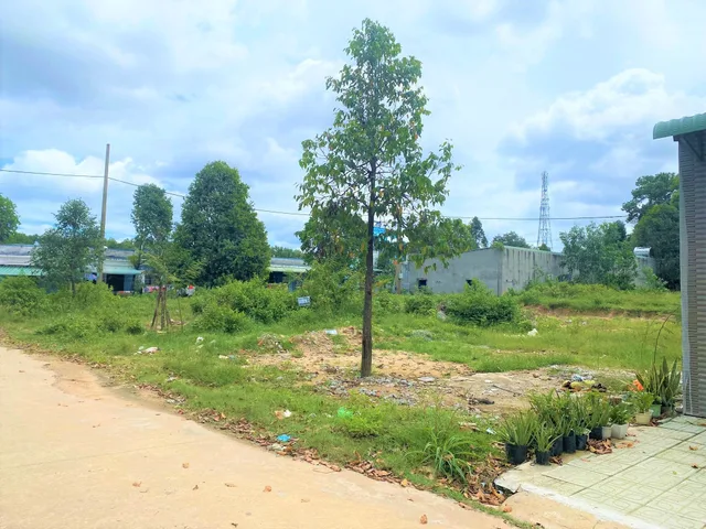 Bán đất 1467.9m² 390 triệu tại Xã Thanh Phú Thị xã Bình Long