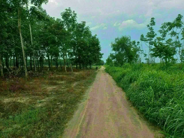 Bán đất 30000m² ngang 147m giá 44 tỷ tại Phường Uyên Hưng Thị xã Tân Uyên