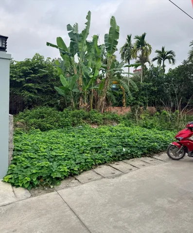 04/2026.Bán đất 74m² . mặt tiền 4m. đường thôn 5m. 2,4 tỷ tại Lâm Động Thiên Hương.. liên hệ 0362558882
