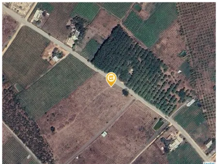 Bán đất Hàm Liêm