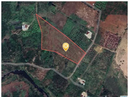 Bán đất 13031.7m² ngang 48m giá 1.98 tỷ tại Xã Phú Lộc Huyện Krông Năng