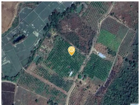 Bán đất 10000m² 800 triệu tại Xã Sông Bình Huyện Bắc Bình