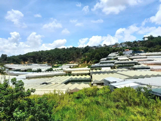 Bán đất view đẹp đồi thông gần khu biệt thự trung tâm Đà Lạt, đi chợ đêm chỉ 3km