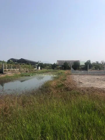 🔥 Quá rẻ Đất 0.5Ha, Nở hậu, Đ.4m – Trường Đông TN