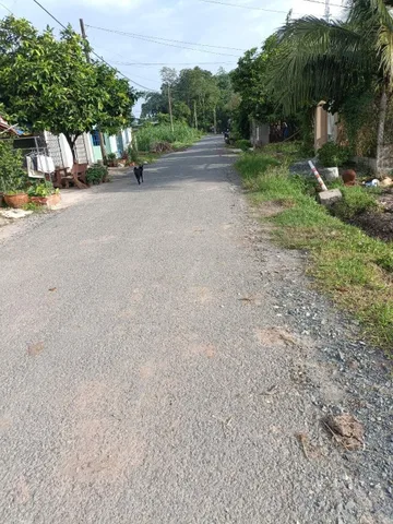 “GIẢM 500 TRIỆU” lô đất mặt tiền đường nhựa 566, diện tích 448m2, có 300m2 thổ cư, xã Trung Lập Hạ