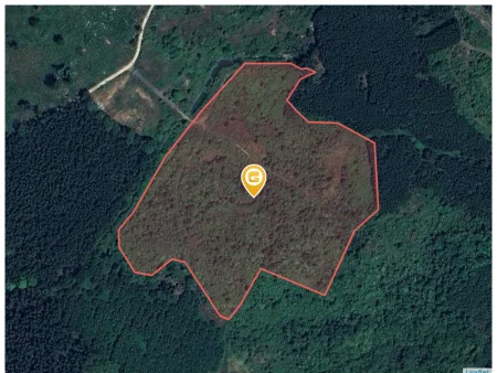 Bán đất 57000m² 8 tỷ tại Xã Khánh Đông Huyện Khánh Vĩnh