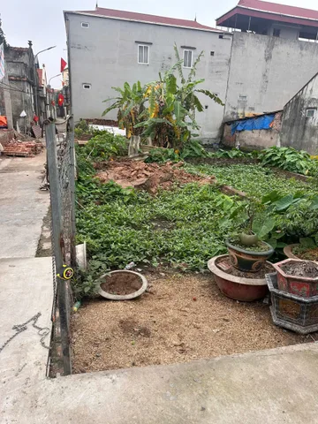 🏡  BÁN ĐẤT TẠI THÔN CAO XÁ - ĐỨC THƯỢNG - HOÀI ĐỨC- HÀ NỘI – ĐƯỜNG Ô TÔ – GIÁ TỐT! 🚗🌳