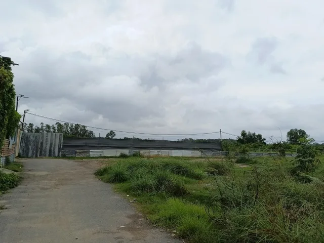 BÁN LÔ ĐẤT VƯỜN 1000M2- GIÁ CHỈ HƠN 5 TRIỆU/M2- CHỢ VĨNH LỘC B- BÌNH CHÁNH-GỌI CHO EM XEM ĐẤT