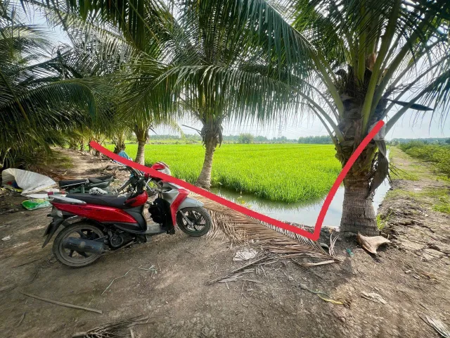 Bán đất 3992.2m² ngang 30m giá 2.7 tỷ tại Xã Hòa Khánh Tây Huyện Đức Hòa