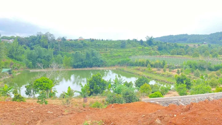 1 HÉC TA (10.000M2), MÀ GIÁ CHỈ 11 TỶ thuộc xã n'thôn hạ, đức trọng