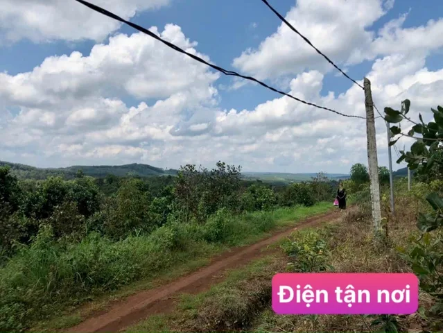 Đất SHR xã Đắk Ru cách Quốc Lộ 14 chỉ 5km, giá bán nhanh 350 Triệu/1065m2 ngang 17m