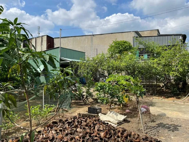 Bán đất 461.6m² ngang 15.5m giá 9.5 tỷ tại Phường Tân Bình Thị xã Dĩ An