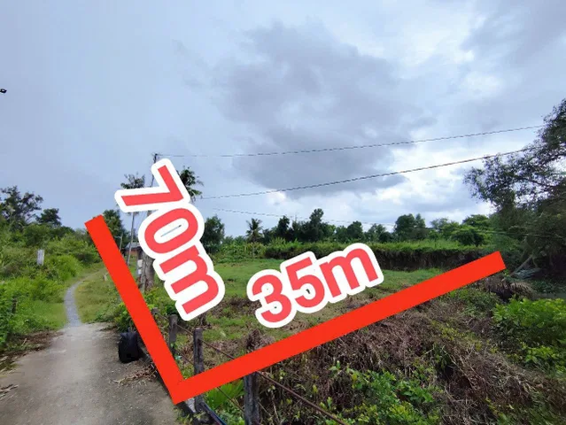 Bán gấp đất Ấp Long Đại dt 2142m² ngang 35m đường 12m gần Vinhomes grand park Q9 giá chỉ 32 tỷ
